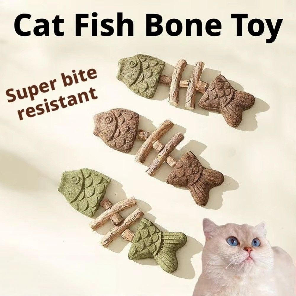 생선 뼈 모양의 고양이용 씹는 장난감, 치아 청결을 위 - Teeth Cleaning Dog Chew Bone 리뷰 및 가격