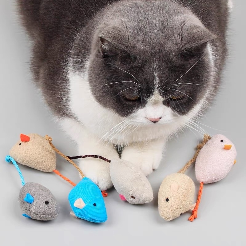 휴대용 부드러운 인터랙티브 고양이 장난감, 재미있는 쥐 - Catnip Interactive Plush Mouse 리뷰 및 가격