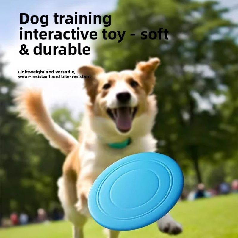 튼튼하고 씹어도 괜찮은 반려동물 훈련용 프리스비 장난감 - Flying Disc Dog Training Toy 리뷰 및 가격