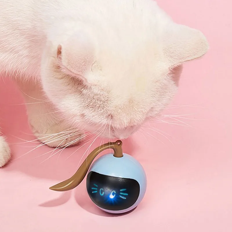 인터랙티브 고양이 공 장난감 USB 충전식 자동 이동  - Automatic Moving Dog Ball 리뷰 및 가격