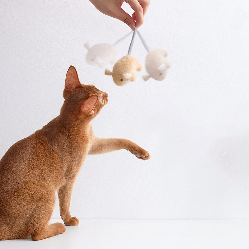 고양이용 플러시 캣닢 쥐 장난감, 실내 고양이용 인터랙 - Catnip Interactive Plush Mouse 리뷰 및 가격
