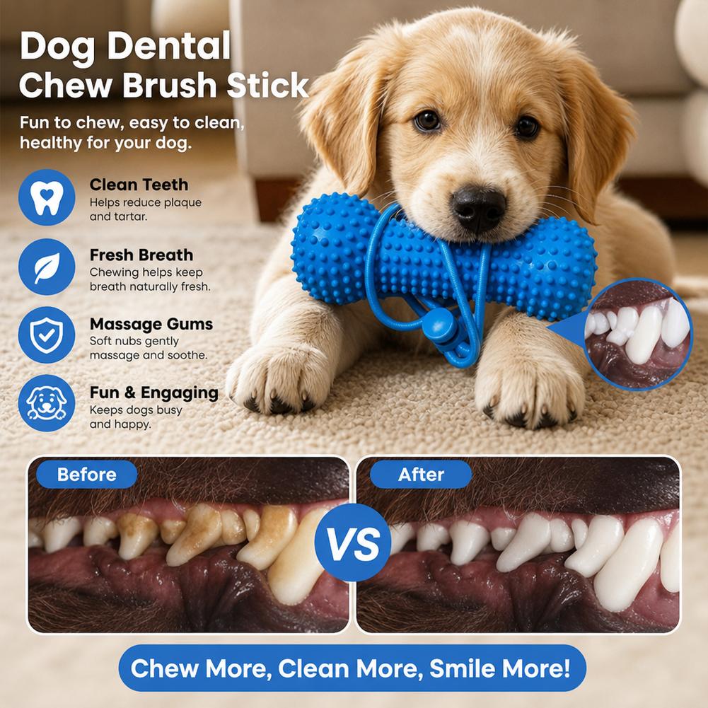 강아지용 치아 발육기용 씹는 장난감, 플라스틱 뼈 모양 - Teeth Cleaning Dog Chew Bone 리뷰 및 가격